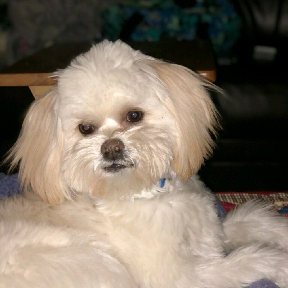 Meet your Posher, Tammy